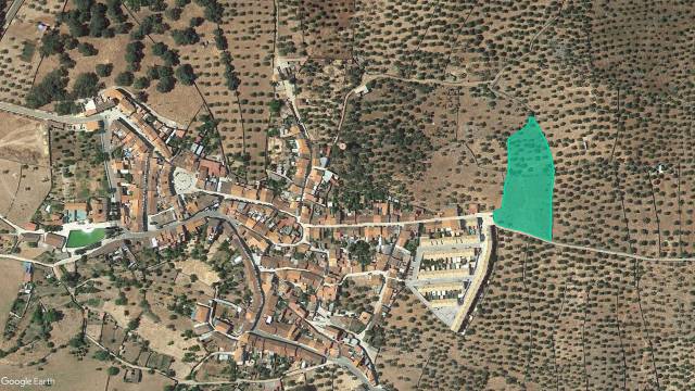 Terreno en Venta en  Pol 2 Cañaveral de León - El Triscal - en Cañaveral de León