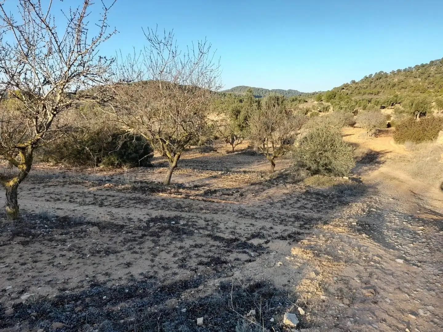 Terreno rústico en venta en Corbera d'Ebre, imagen 25
