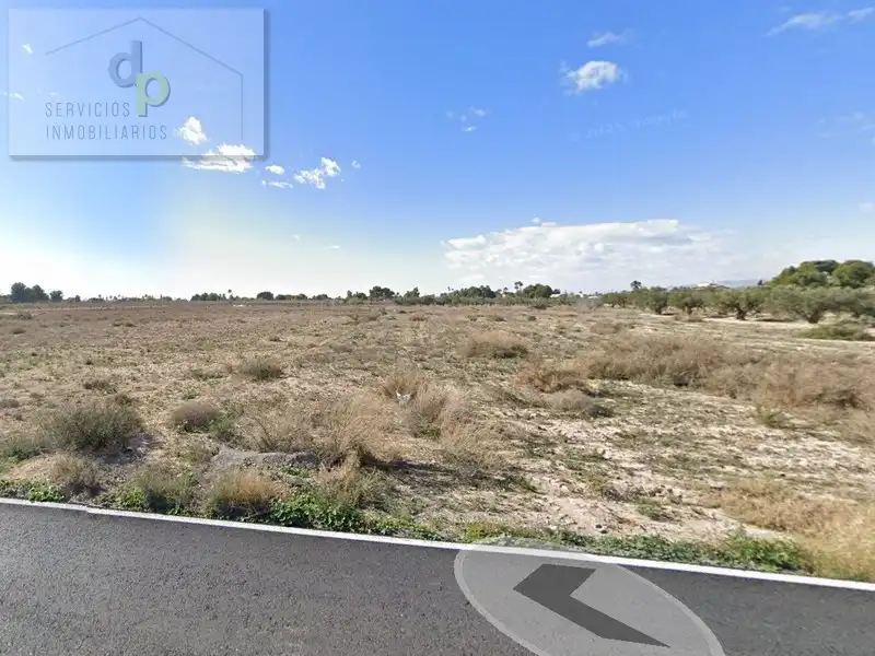 Terreno rustico in affitto a Camino de los Quiles 160, imagen 2