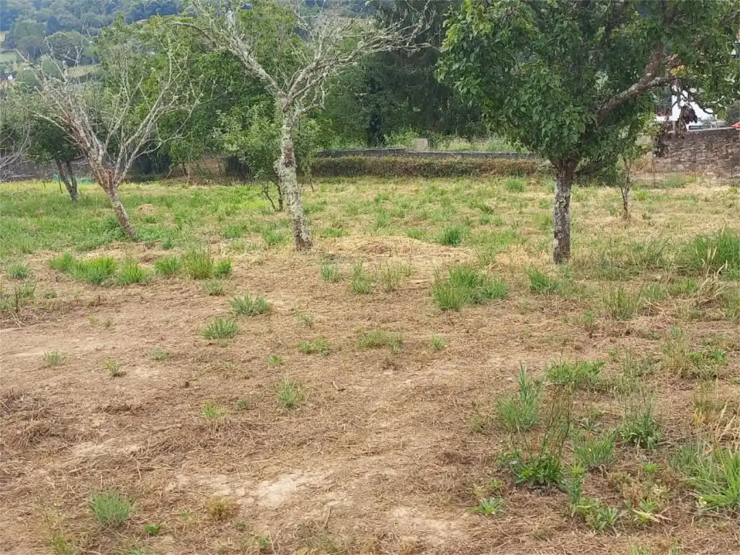 Grundstücke zur Miete in Betanzos
