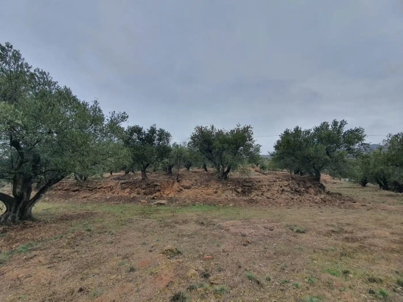 Casa rústica en venda a Fondón, imagen 12