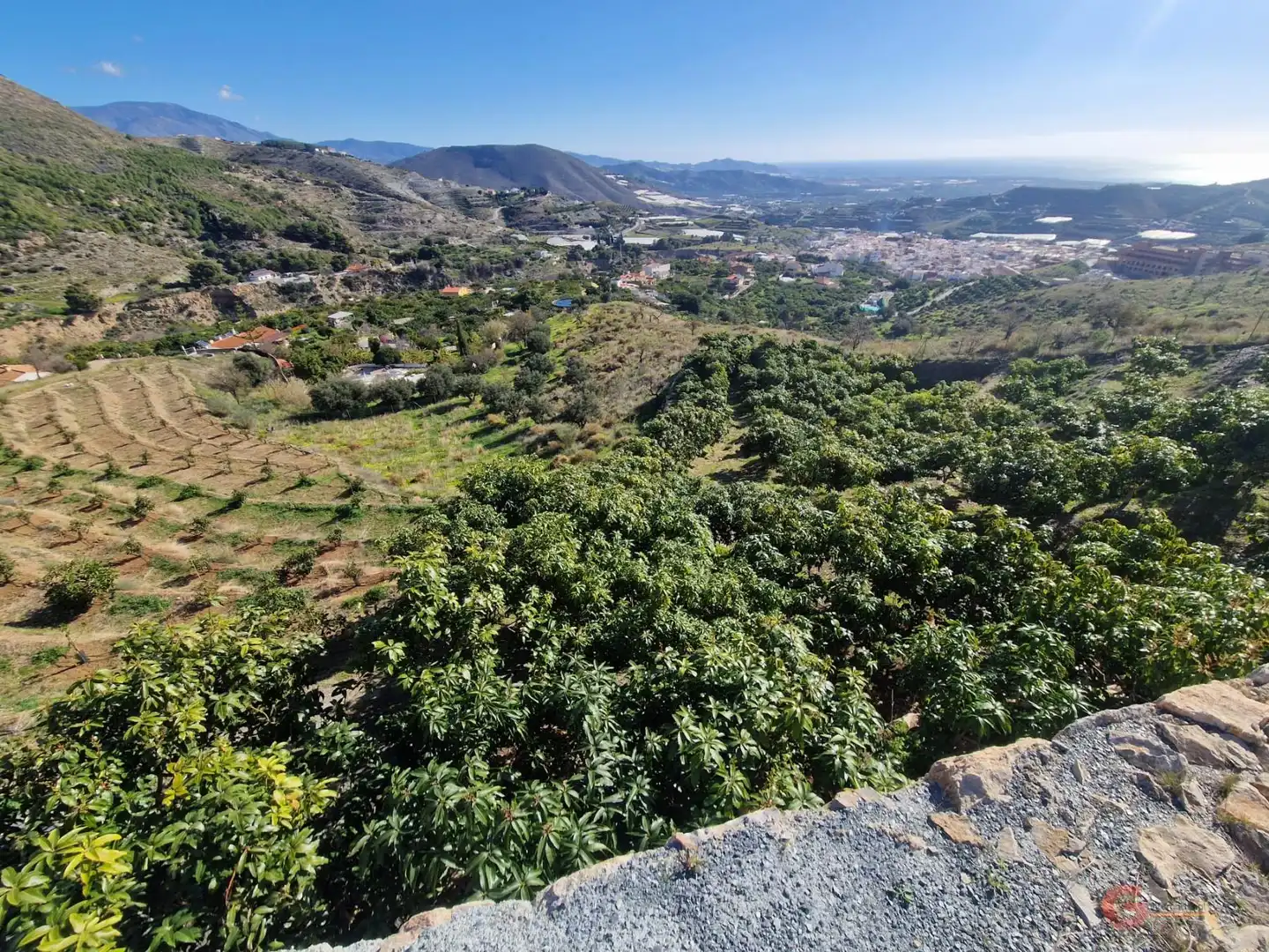 Terrenys i solars en venda a Molvízar