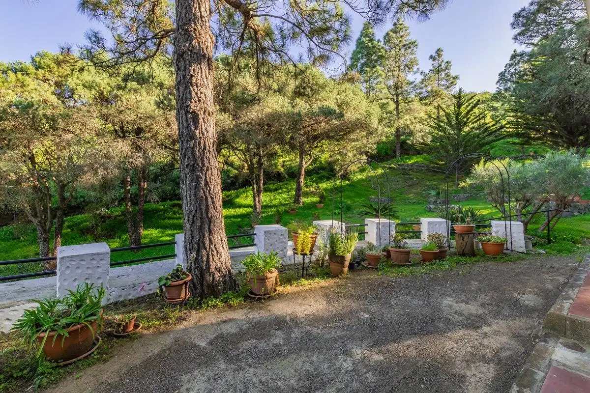 Jardí de Casa o xalet en venda en Telde amb Jardí privat