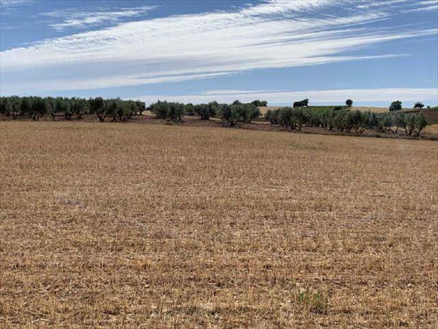 Terreno en Venta en Villamayor de Santiago