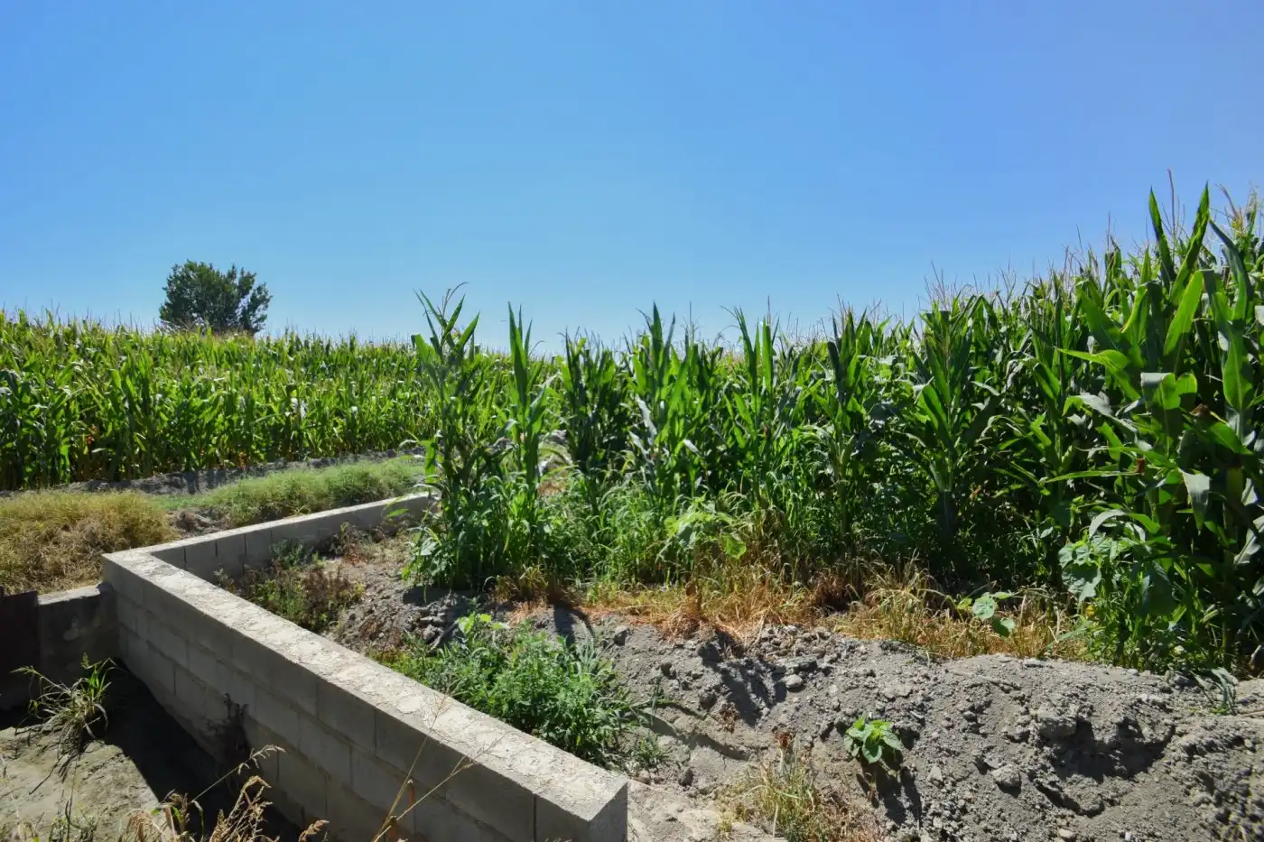 Rural land for sale in Calle PEREGRINA, imagen 8