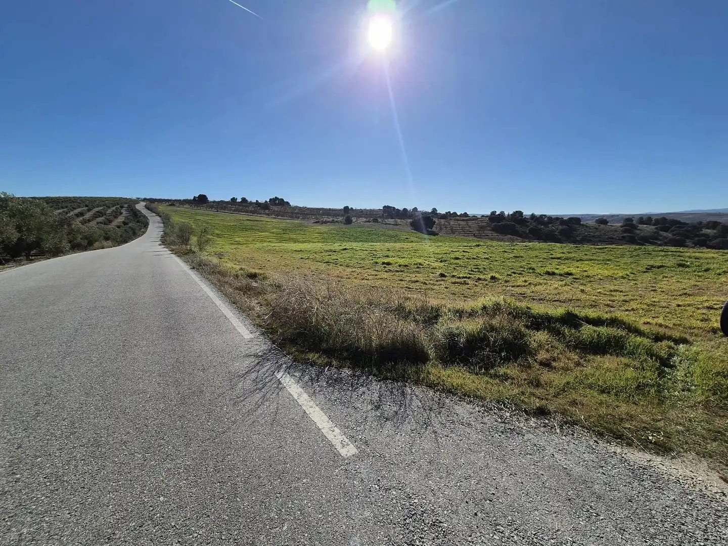 Rural land for sale in Alhama de Granada, imagen 4