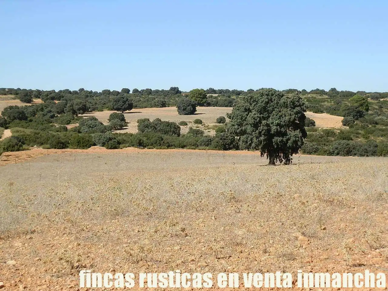 Terreno en venta en Albacete