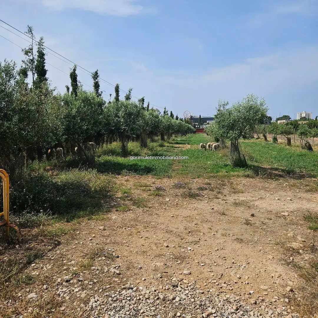 Casa rústica en venta en Llevant, imagen 25