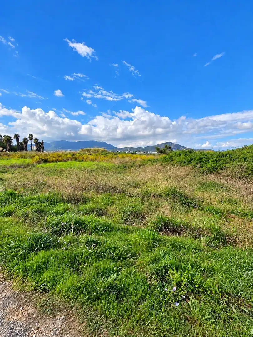 Rural land for sale in Polígono Sèquia de la Figuerola Dreta, imagen 19