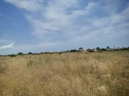 Terreny rústic en venda a PT S 33, imagen 12