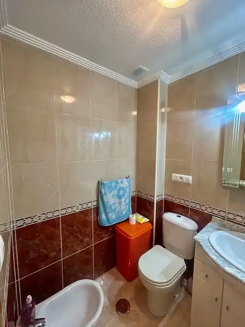 Ground floor with terrace for sale in Ronda Ronda César Cánovas, imagen 16