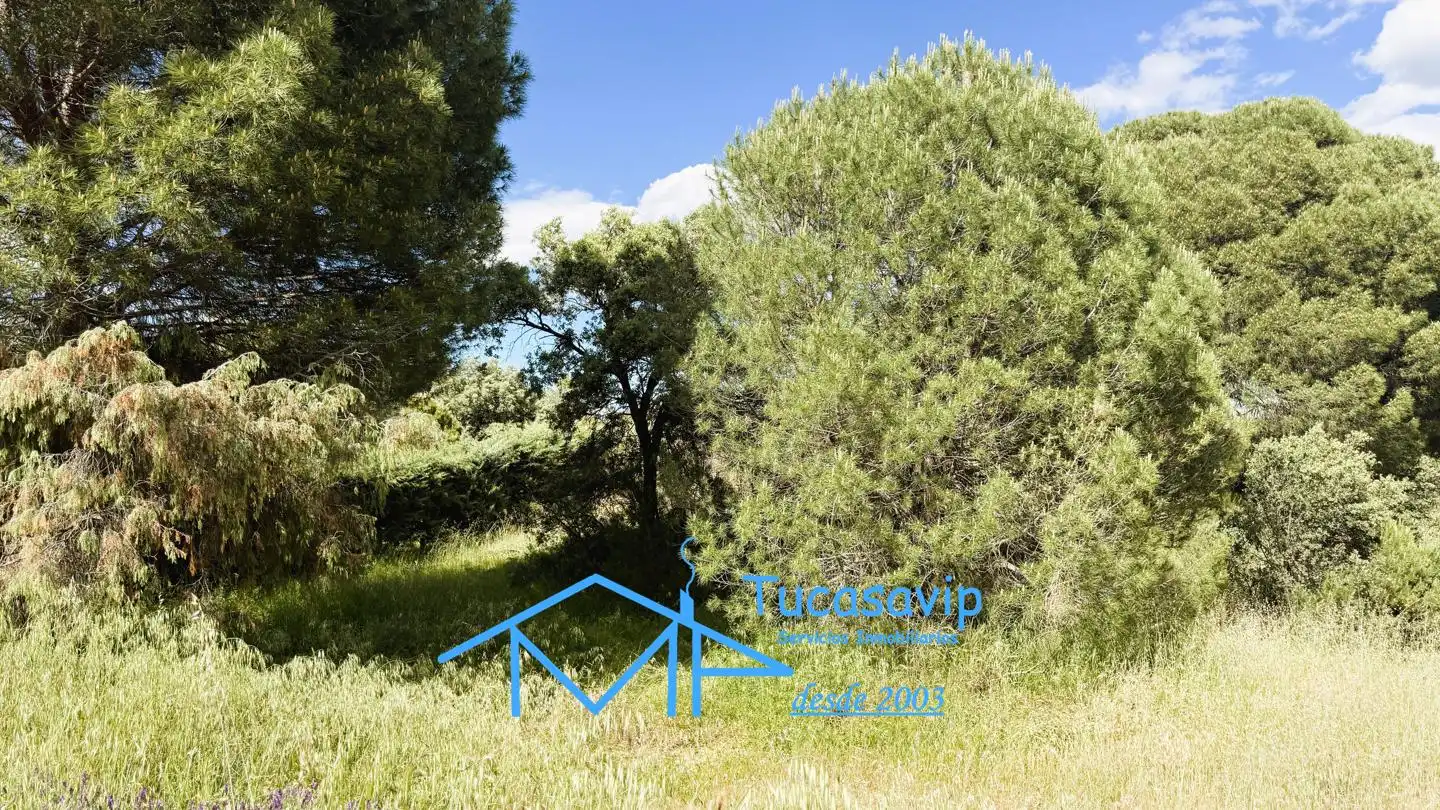 Terreni e lotti in vendita a El Tiemblo, imagen 25