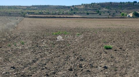 SE VENDE PARCELA EN BARBARROJA CERCA DEL PUEBLO, imatge 2
