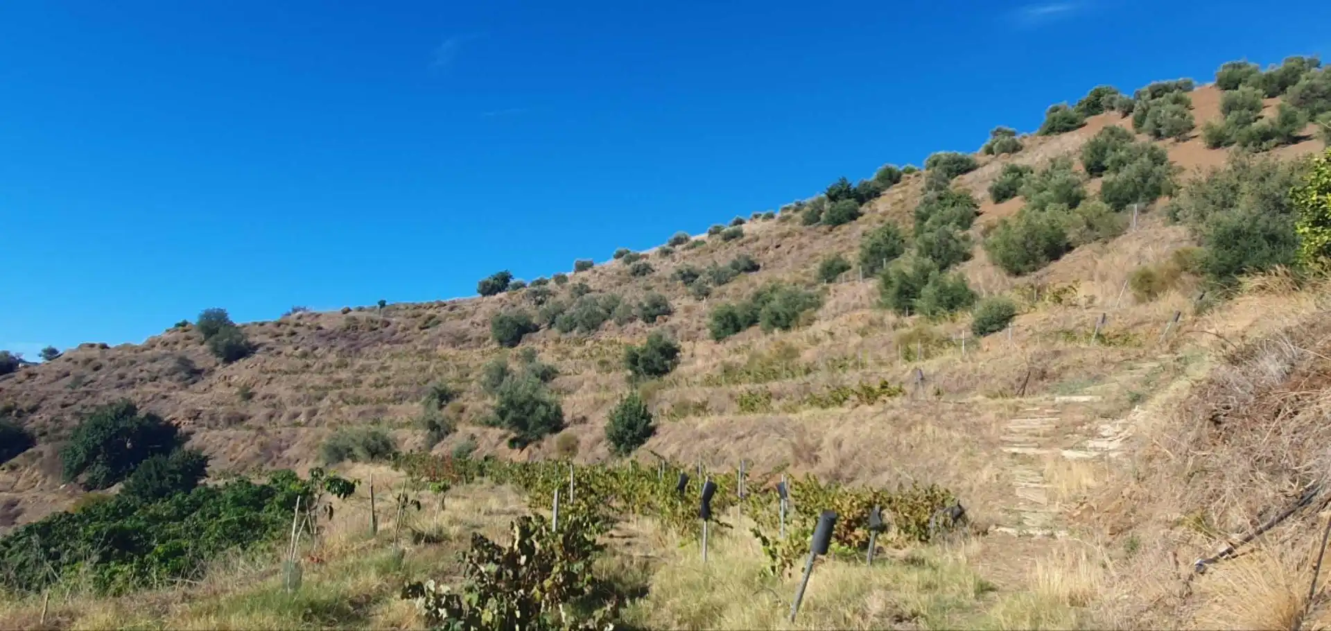 Casa rústica en venda a Totalán, imagen 6