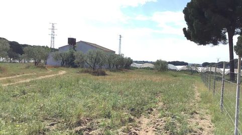 Photo 5 of Country homes for sale in Almonte ciudad, Almonte