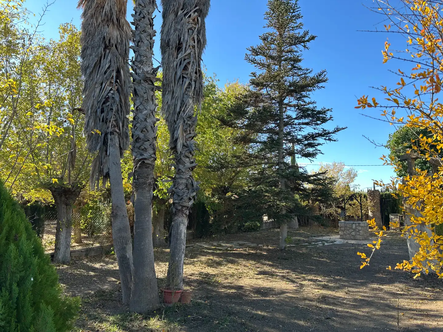 Villa con piscina in vendita a Paraje la Virgen 20, imagen 11