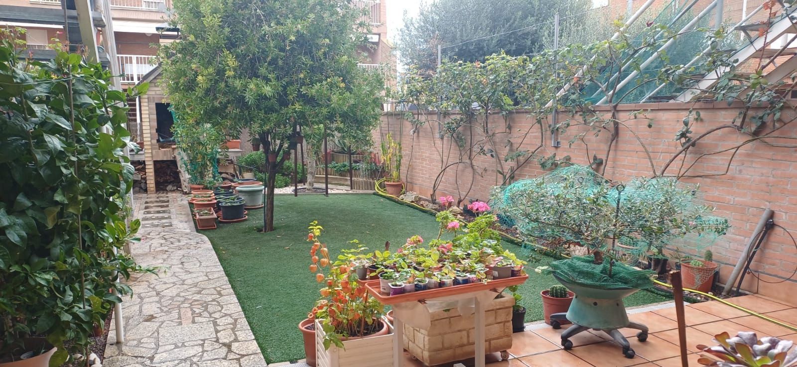 Garden of Single-family semi-detached for sale in Alpicat  with Air Conditioner, Heating and Private garden