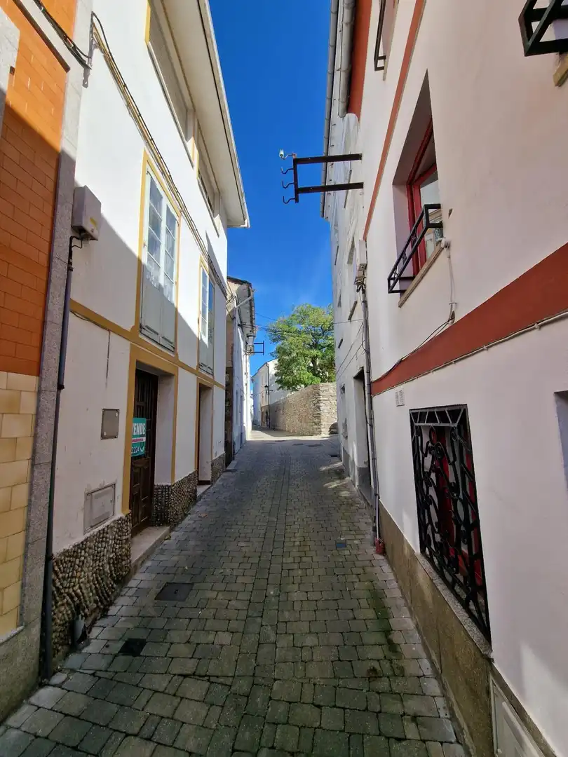 Reihenhaus mit Terrasse zum Verkauf in COVADONGA, imagen 41