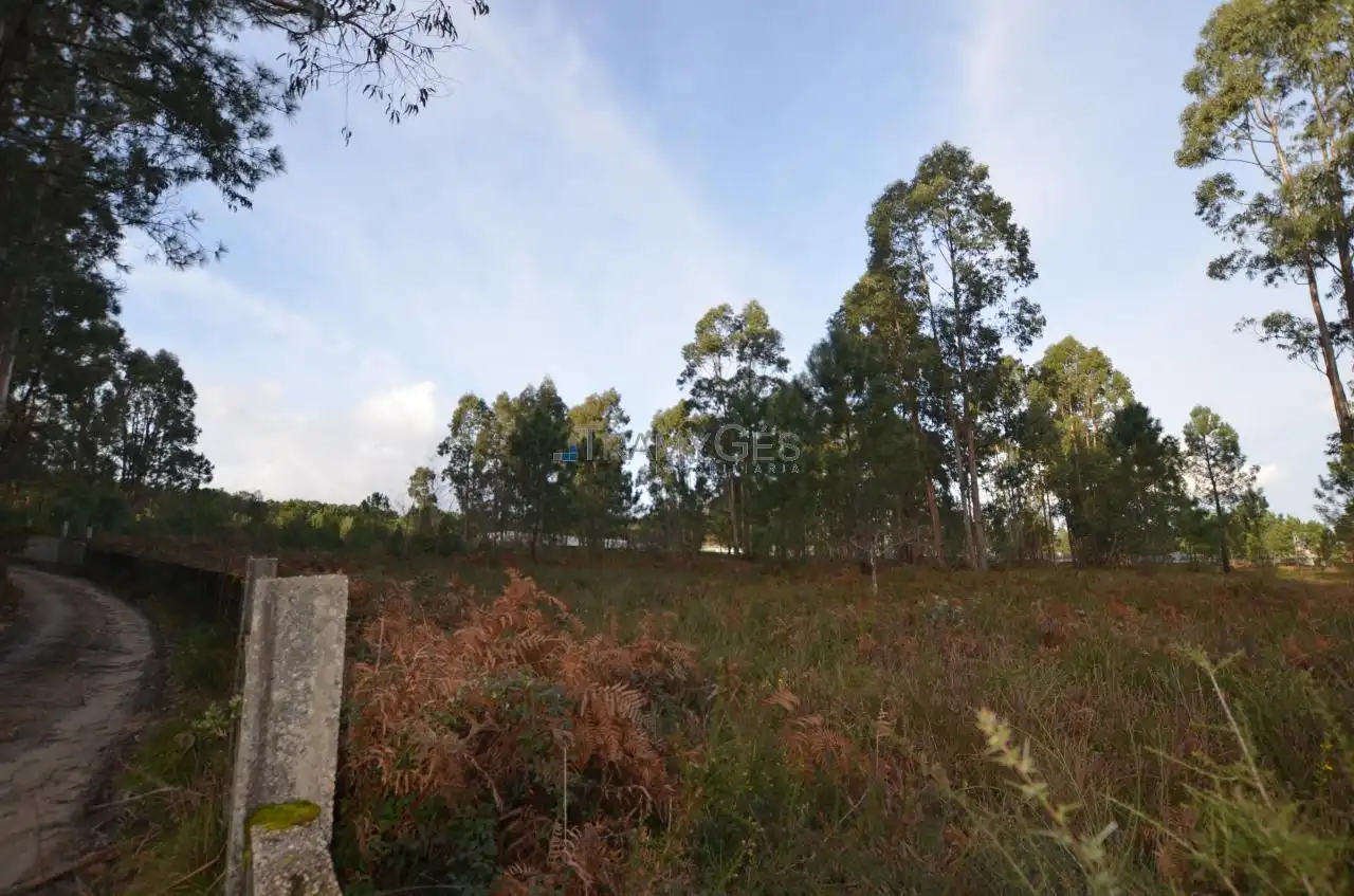 Residential land for sale in LUGAR O MONTE, imagen 40