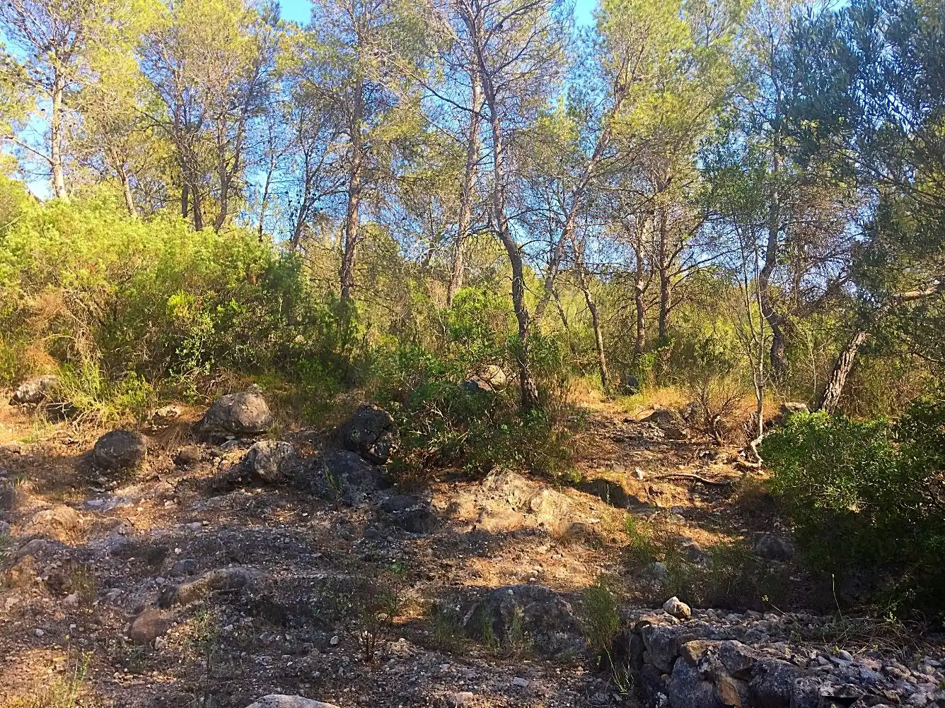 Terreno rústico en venta en Benifallet, imagen 7
