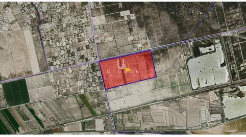 Photo 3 of Land for sale in Carretera de la Marina, La Marina, Elche / Elx