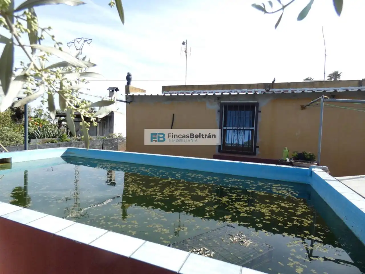 Vista exterior de Finca rústica en venda en Benicarló amb Jardí privat i Moblat