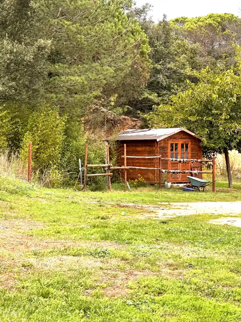 Vista exterior de Finca rústica en venda en Maçanet de la Selva