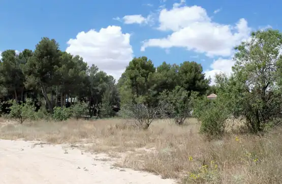 Terreno residencial en venta en Caravaca de la Cruz
