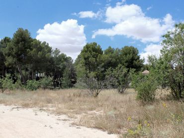 Terreno residenziale in vendita a Caravaca de la Cruz