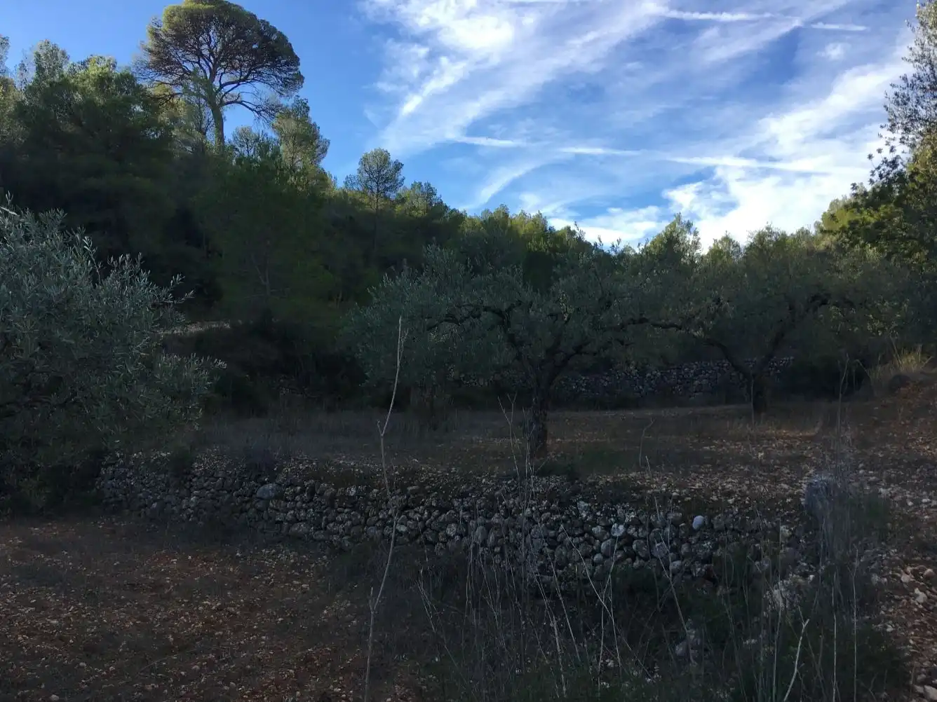 Maison à vendre à El Pinell de Brai, imagen 23