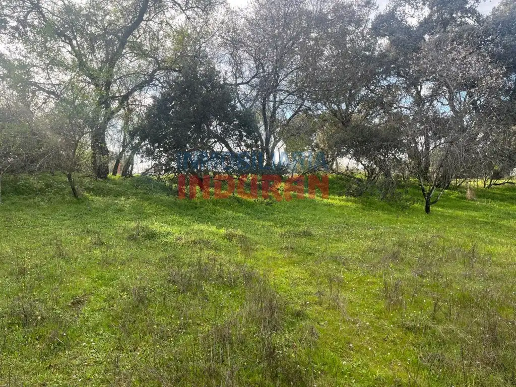 Casa en venta en Millanes, imagen 5
