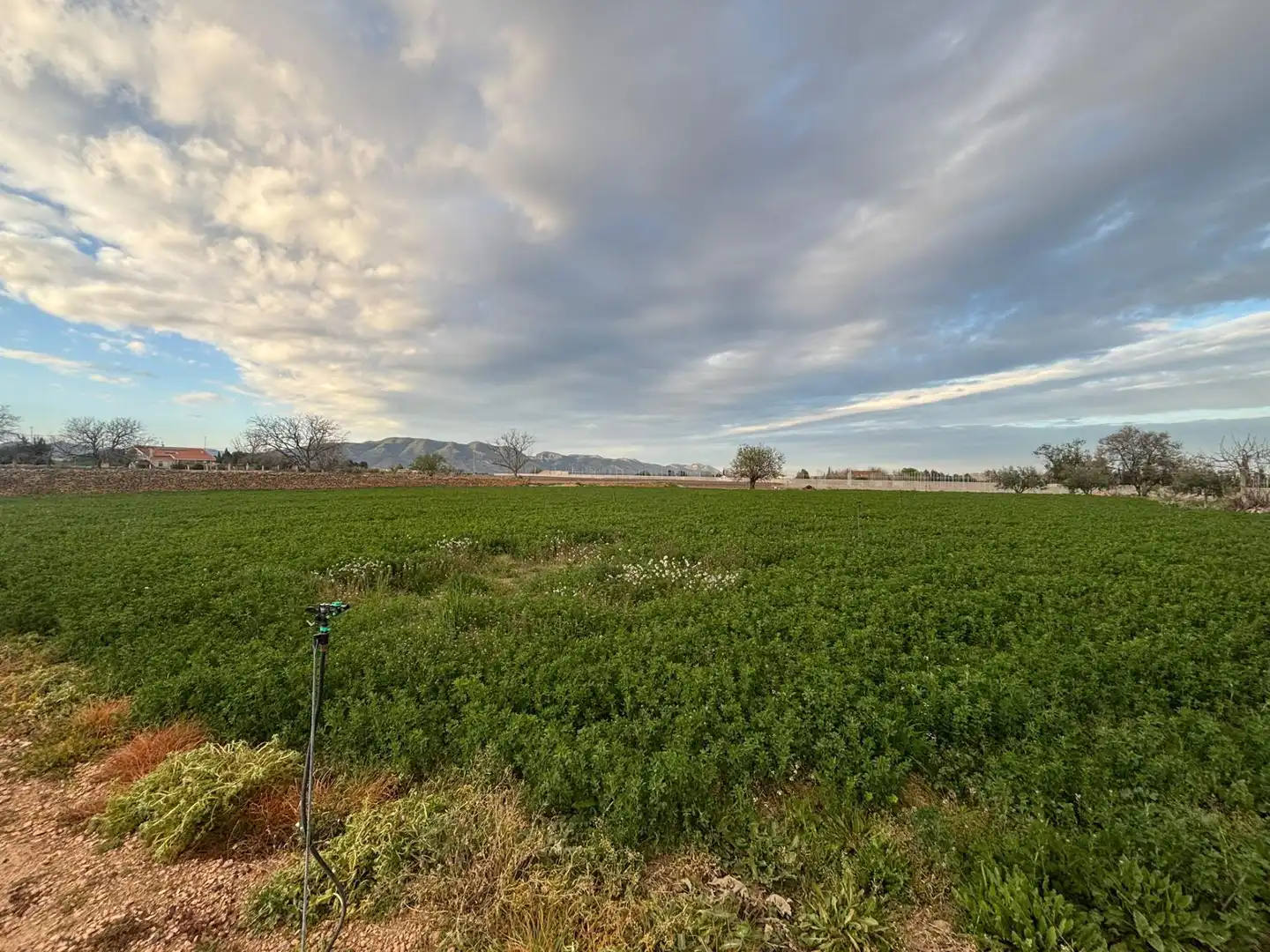 Terreno en venta en Caravaca de la Cruz