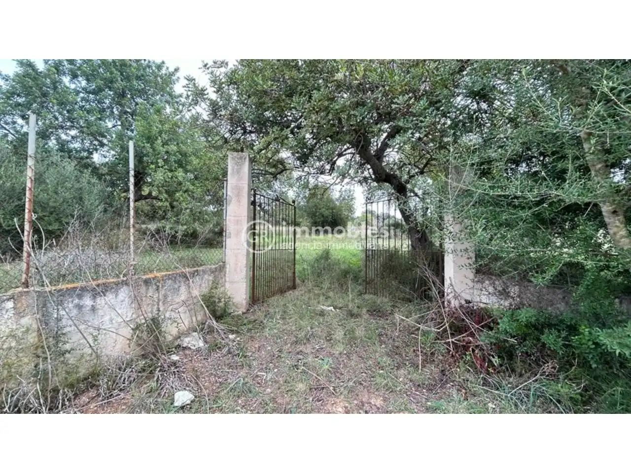 Terreny rústic en venda a Lloseta, imagen 3