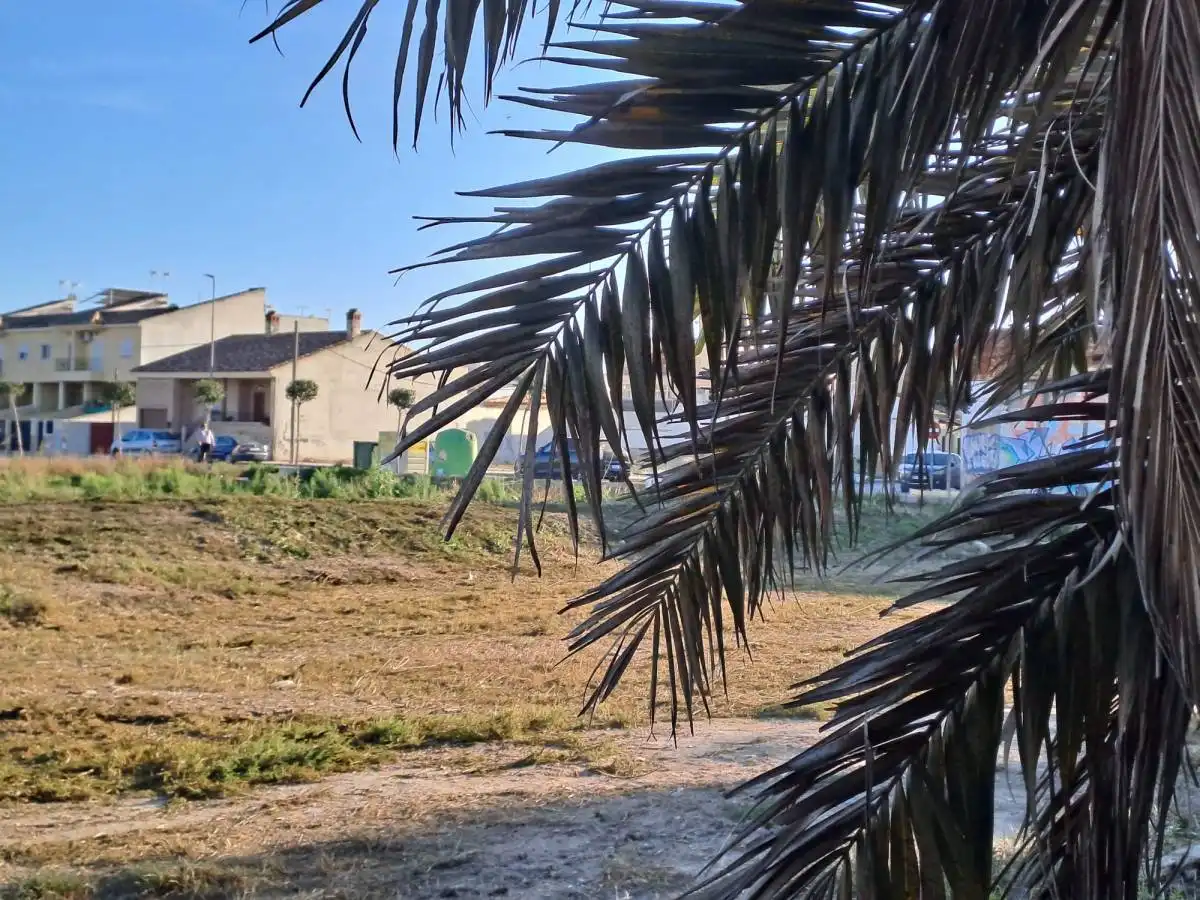Terreni e lotti in vendita a C. Proyecto N20 en, imagen 2