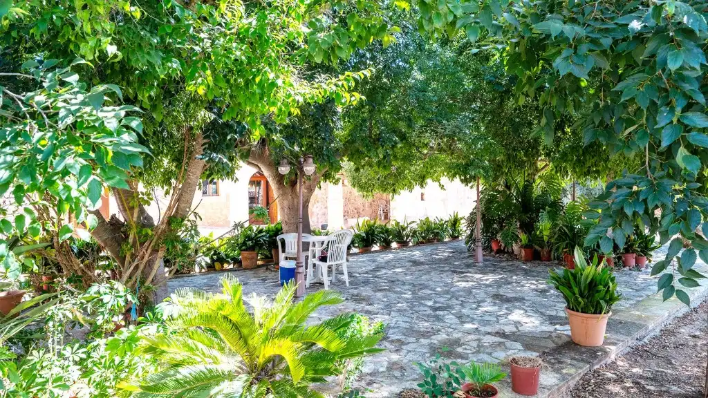 Maison rustique à vendre à Muro, imagen 18