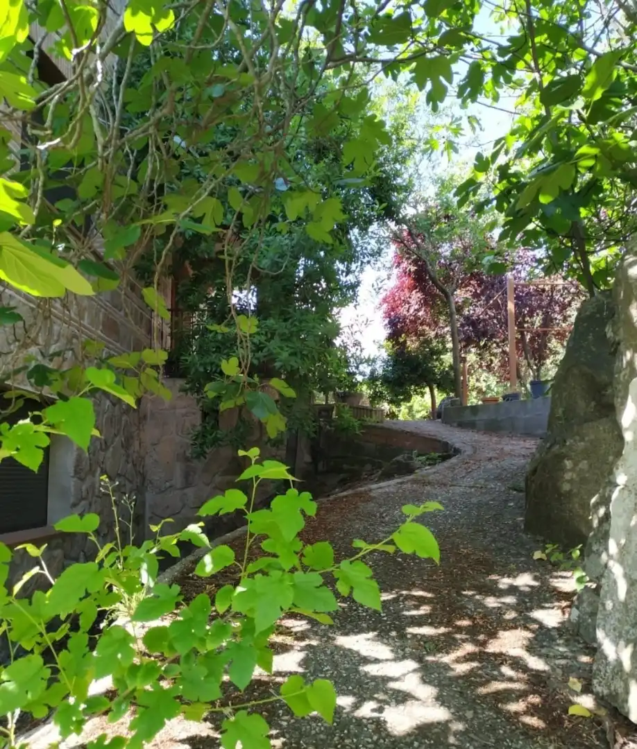 Casa o chalet en venta en Paseo de Recoletos, 32, El Tiemblo