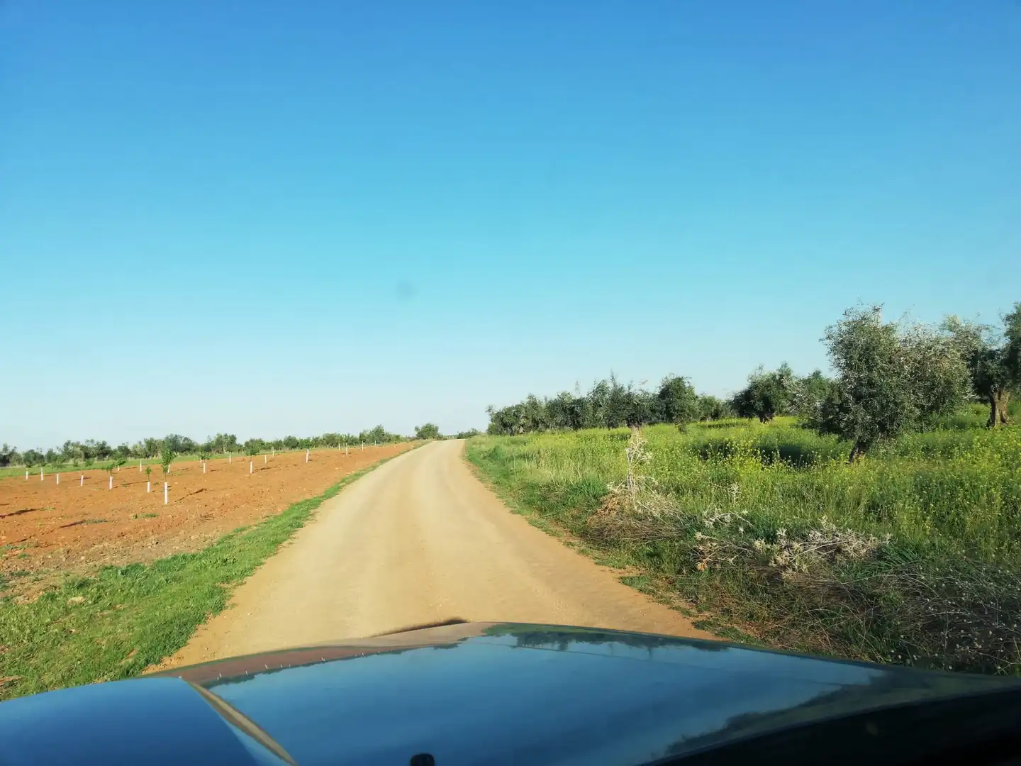 Terrenys i solars en venda a Mora, imagen 6