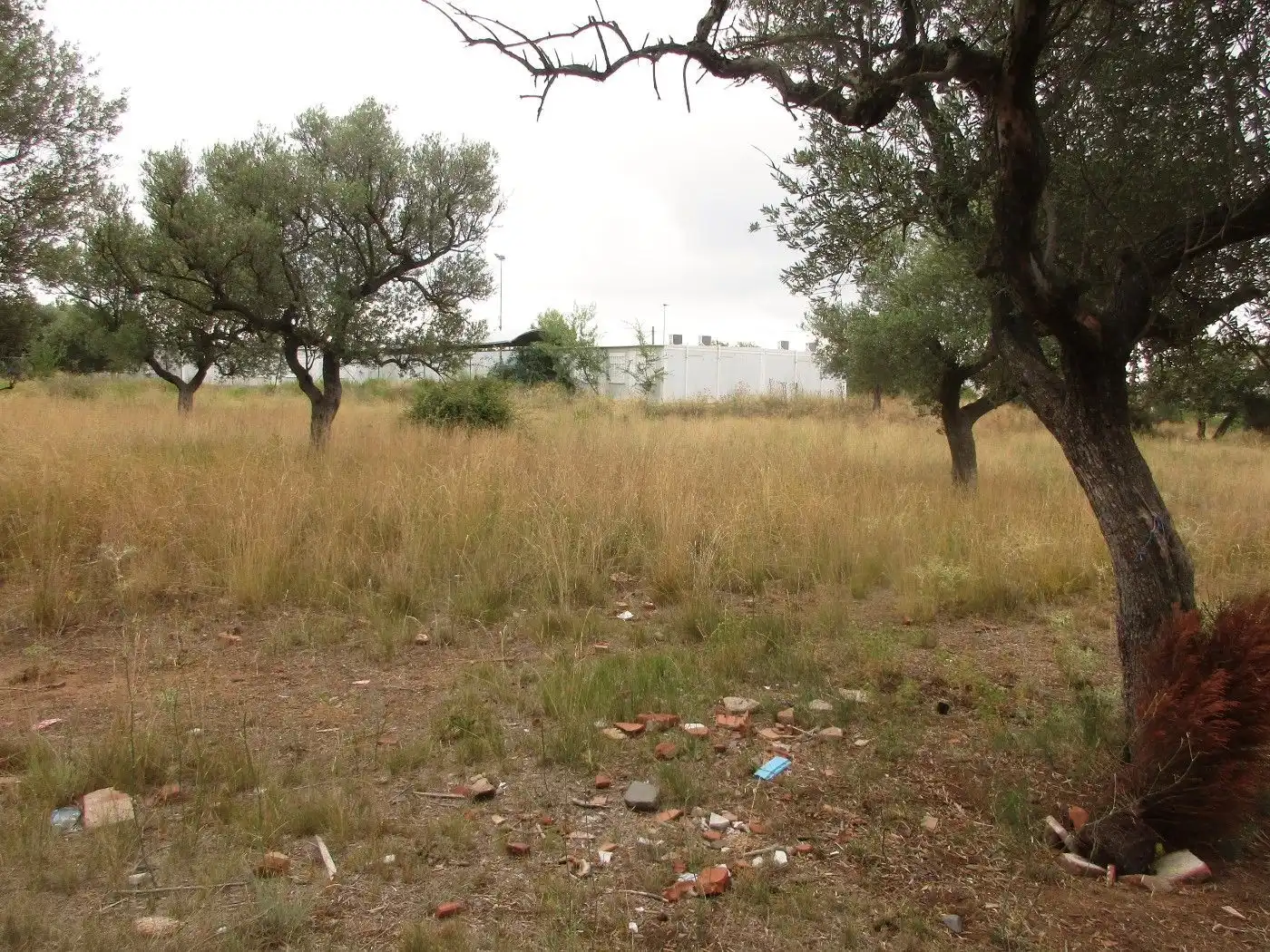 Wohnbaugrundstück zum Verkauf in Carretera Institut Pere Mata 1, imagen 36