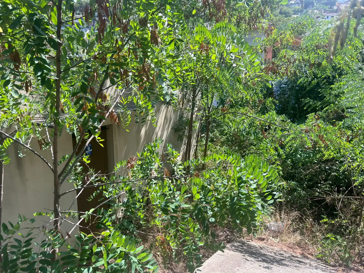 Casa o chalet en venta en Argentona