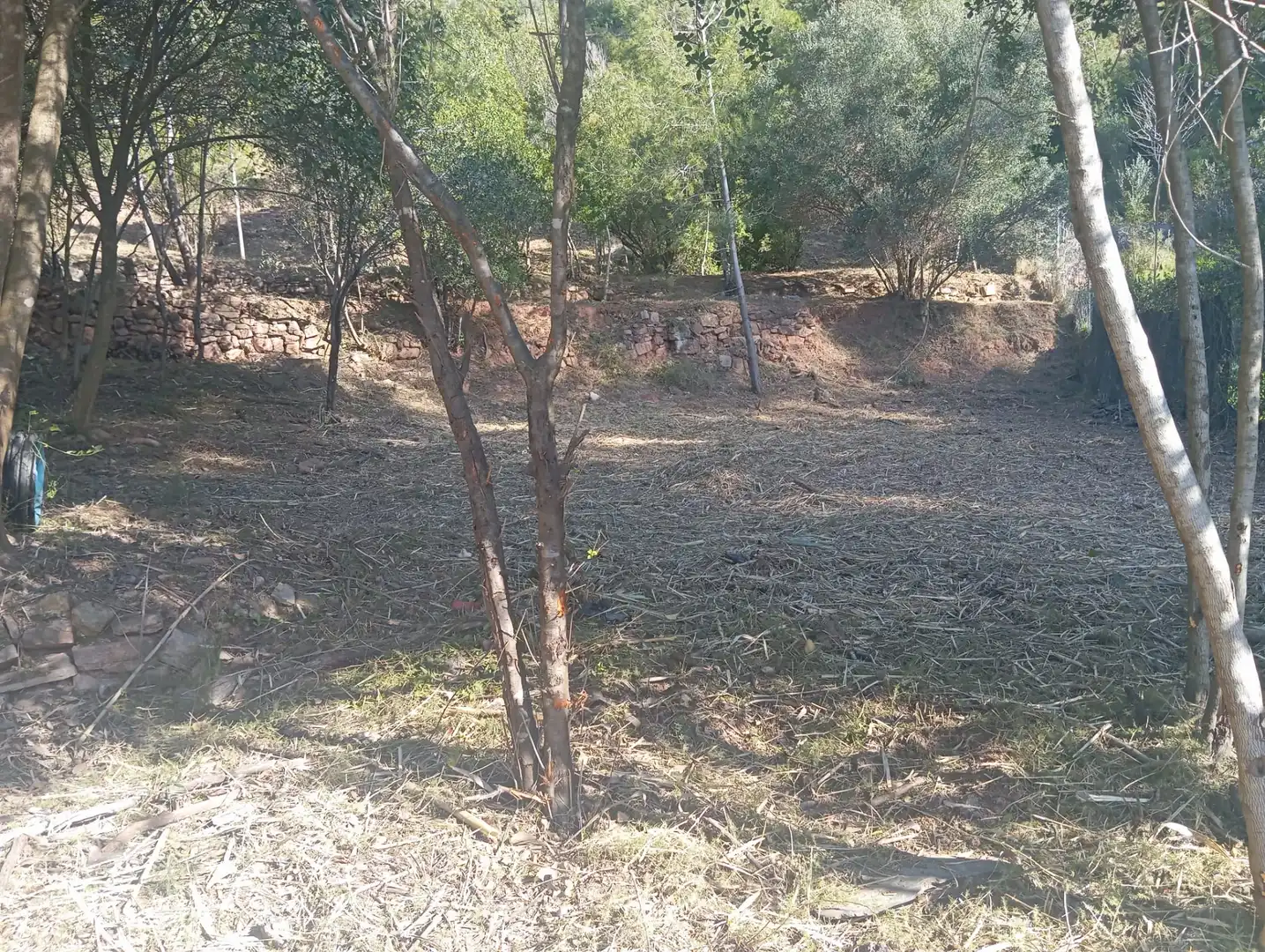 Residencial en venta en Pallejà