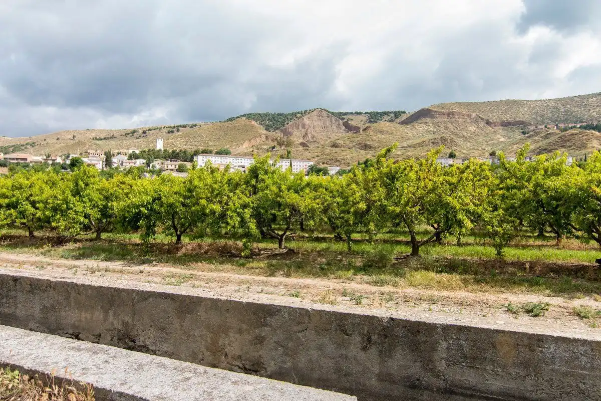 Casa rústica en venta en Genil, imagen 35