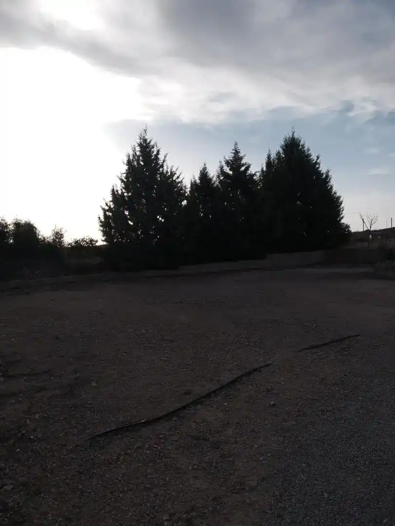Casa o chalet en venta en Almansa con Piscina