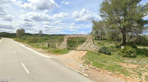 V14963 FINCA AGRICOLA SIN CULTIVAR, OPCIÓN REGADÍO Y VIVIENDA, immagine 2
