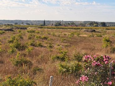 Terreny residencial en venda a Valverde