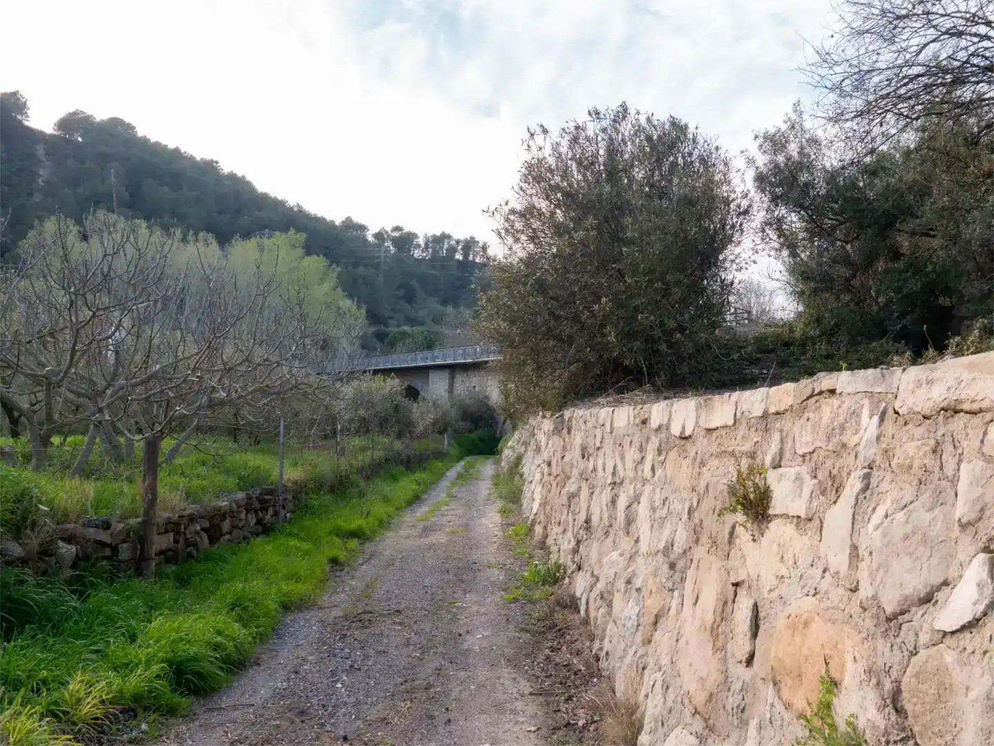 Vista exterior de Finca rústica en venda en Jorba