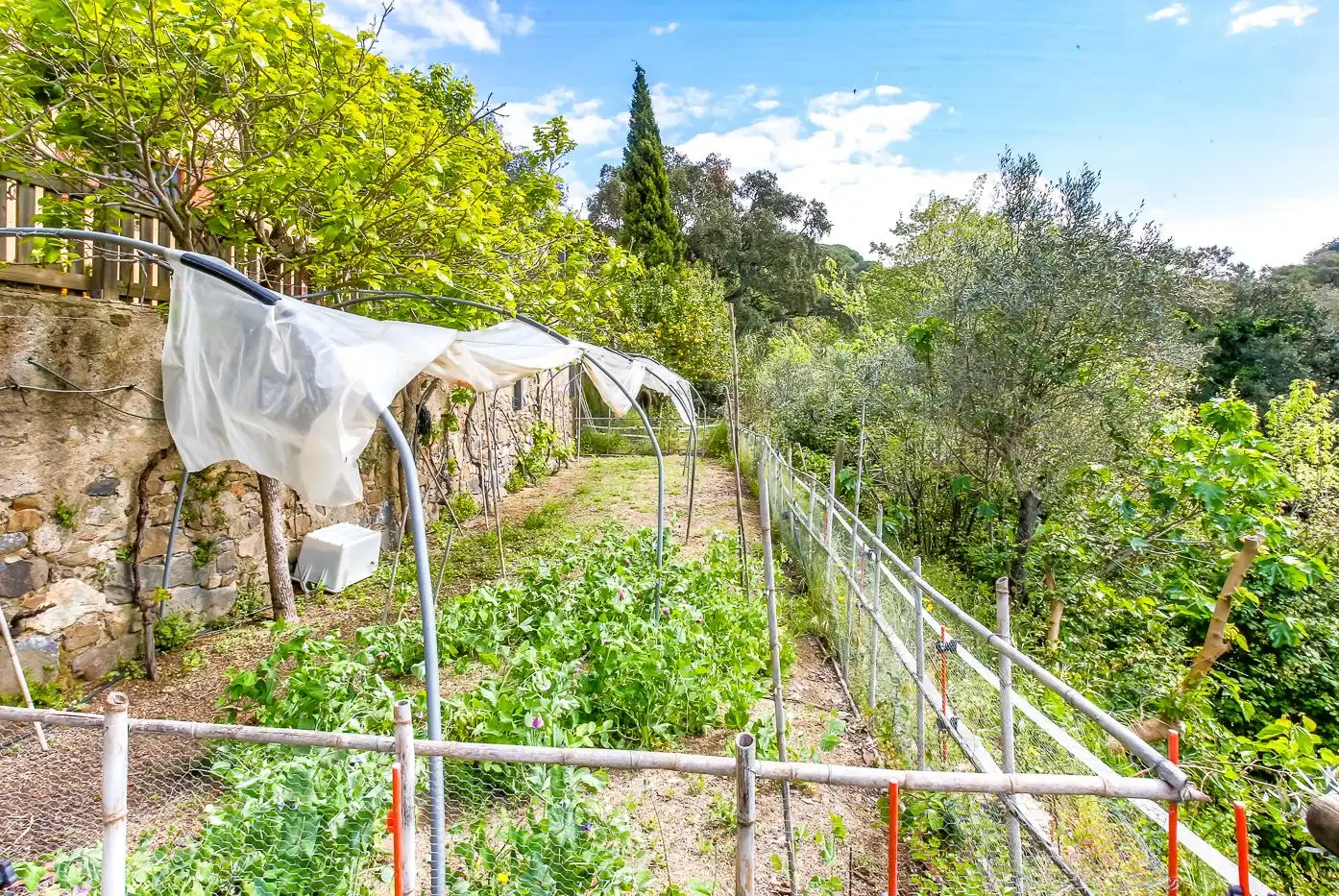 Jardín de Finca rústica en venta en Sant Iscle de Vallalta con Calefacción, Terraza y Trastero
