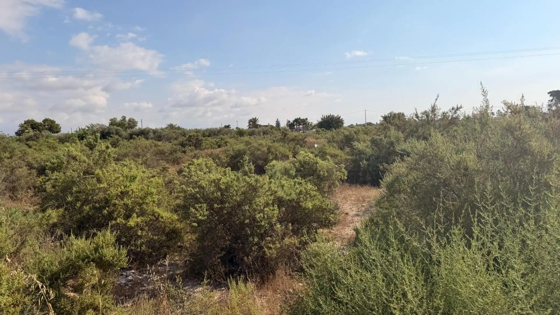 Residencial en venda en Elche / Elx