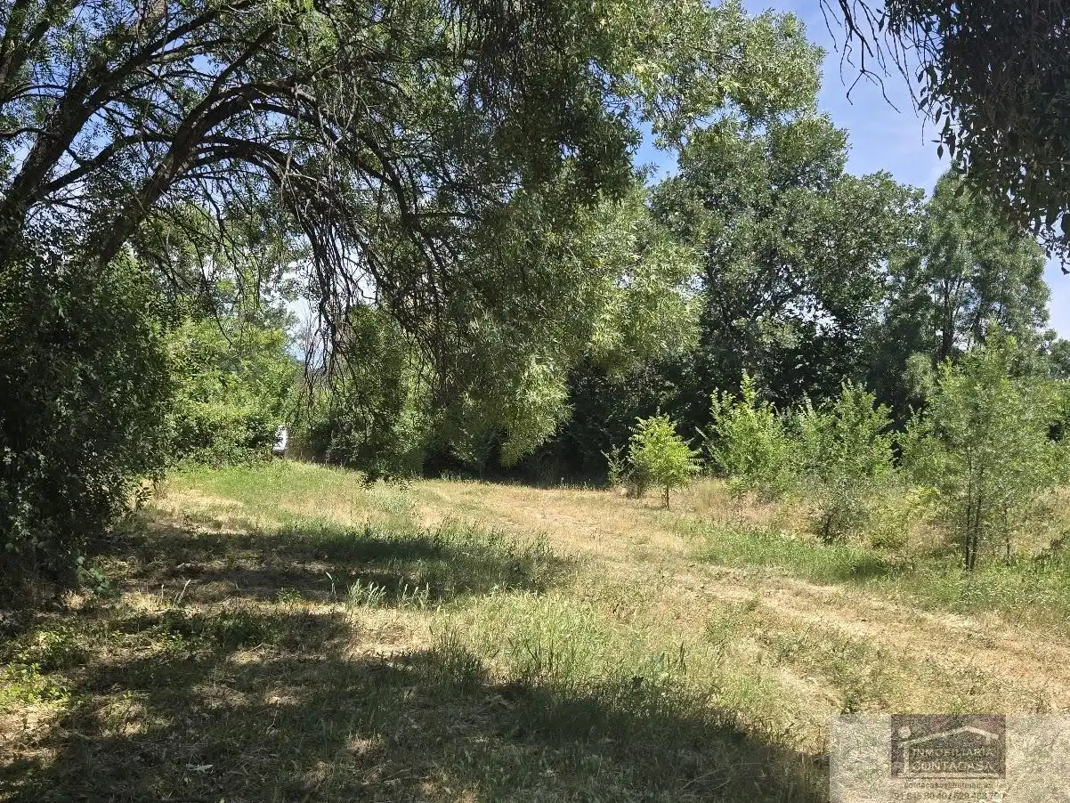 Finca rústica en venta en La Moraleja
