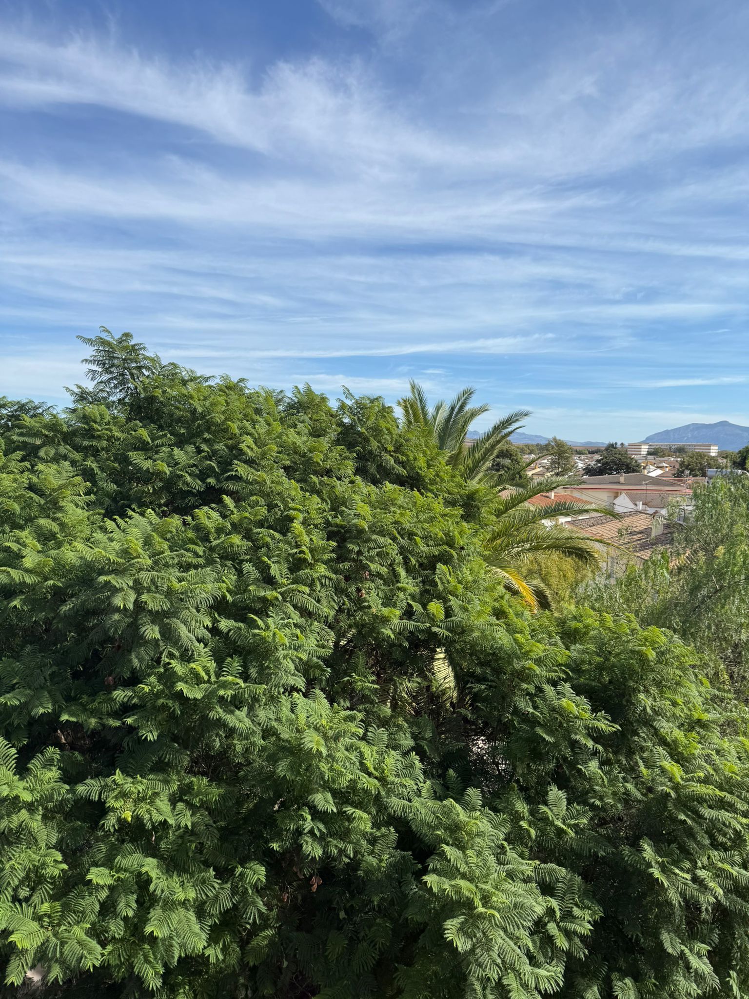 Flat for sale in Campillos  with Terrace