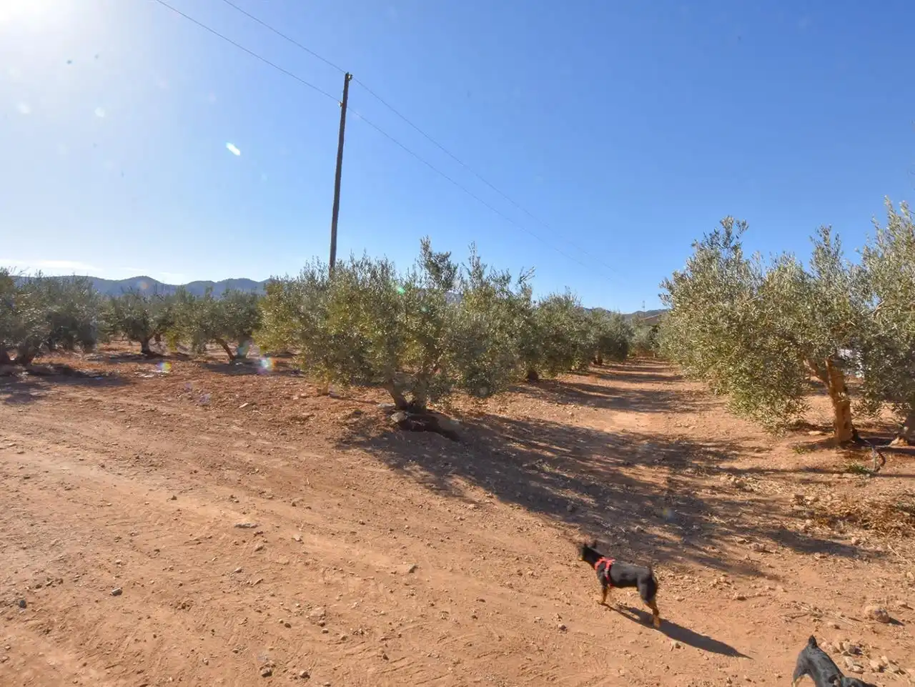 Casa o xalet en venda en Huércal-Overa